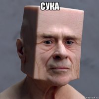 сука 