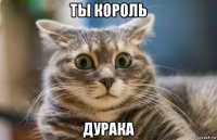 ты король дурака