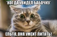 *когда увидел бабочку* епьтя, оня умеит литать!