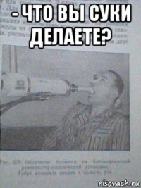 - что вы суки делаете? 