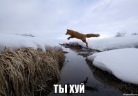  ты хуй