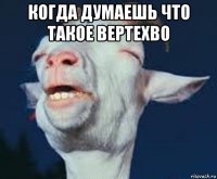 когда думаешь что такое вертехво 