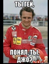 ты гей, понял, ты, джо?