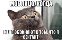 мое лицо, когда меня обвиняют в том, что я сектант.