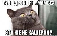 руся дрочит на мамбе? это же не кашерно?
