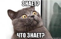 знает? что знает?