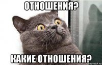 отношения? какие отношения?