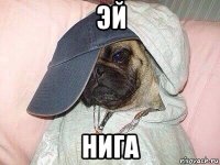 эй нига