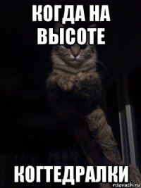 когда на высоте когтедралки