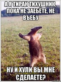 а я тиран тихушник, пока не заебёте, не въебу ну и хули вы мне сделаете?