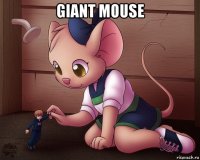 giant mouse 