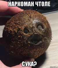 наркоман чтоле сука?