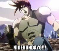  nigerundayo!!!