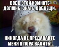 все в этой комнате должны знать две вещи: никогда не предавайте меня и пора валить!