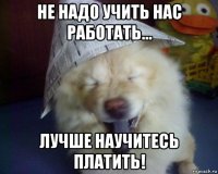не надо учить нас работать... лучше научитесь платить!
