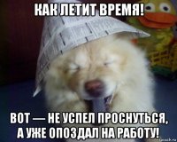 как летит время! вот — не успел проснуться, а уже опоздал на работу!