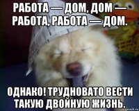 работа — дом, дом — работа, работа — дом. однако! трудновато вести такую двойную жизнь.