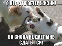 о нет, это ветер жизни! он снова не даёт мне сдать тси!