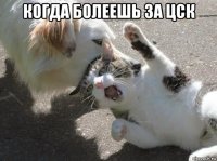 когда болеешь за цск 