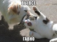 вы все гавно