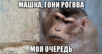 машка, гони рогова моя очередь