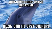 дельфины очень умные животные ведь они не орут эшкере