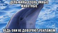 дельфины очень умные животные ведь они не доверяют рекламам