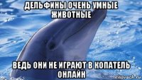 дельфины очень умные животные ведь они не играют в копатель онлайн