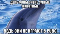 дельфины очень умные животные ведь они не играют в pubg