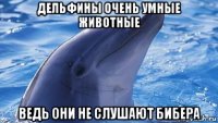 дельфины очень умные животные ведь они не слушают бибера