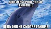 дельфины очень умные животные ведь они не смотрят аниме