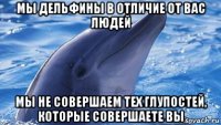 мы дельфины в отличие от вас людей мы не совершаем тех глупостей, которые совершаете вы