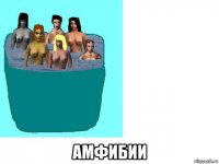 амфибии