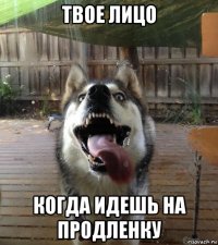 твое лицо когда идешь на продленку