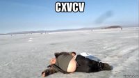 cxvcv 