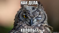 как дела, холопы?