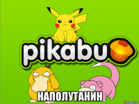  наполутанин
