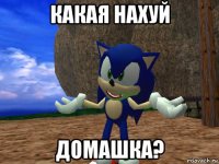 какая нахуй домашка?