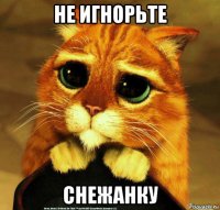 не игнорьте снежанку
