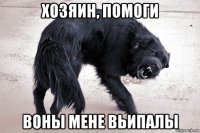 хозяин, помоги воны мене вьипалы