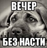 вечер без насти