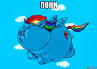 пони 