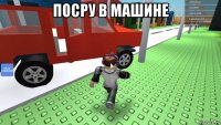 посру в машине 