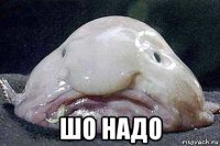  шо надо