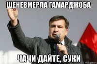 щеневмерла гамарджоба чачи дайте, суки