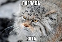 погладь кота
