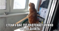  стена у вас тут подтекает. нужно что-то делать