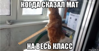когда сказал мат на весь класс