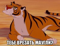  тебе врезать маугли?