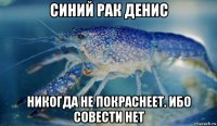 синий рак денис никогда не покраснеет. ибо совести нет